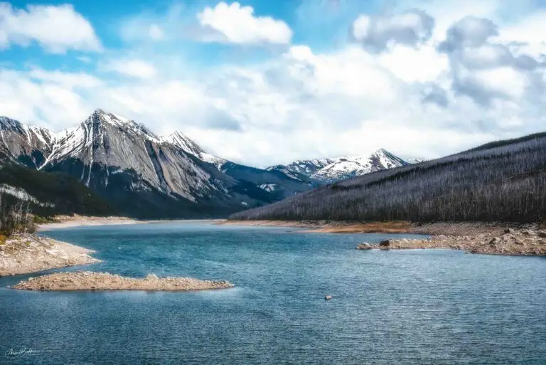 the deforestation of the Canadian Rockies due to wildfires