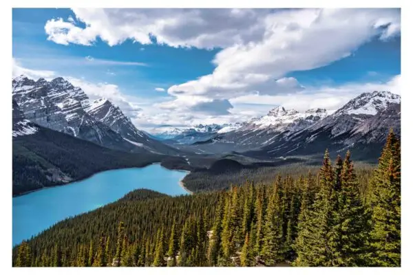 Peyto Lake