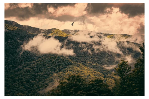 Smokey Mountains